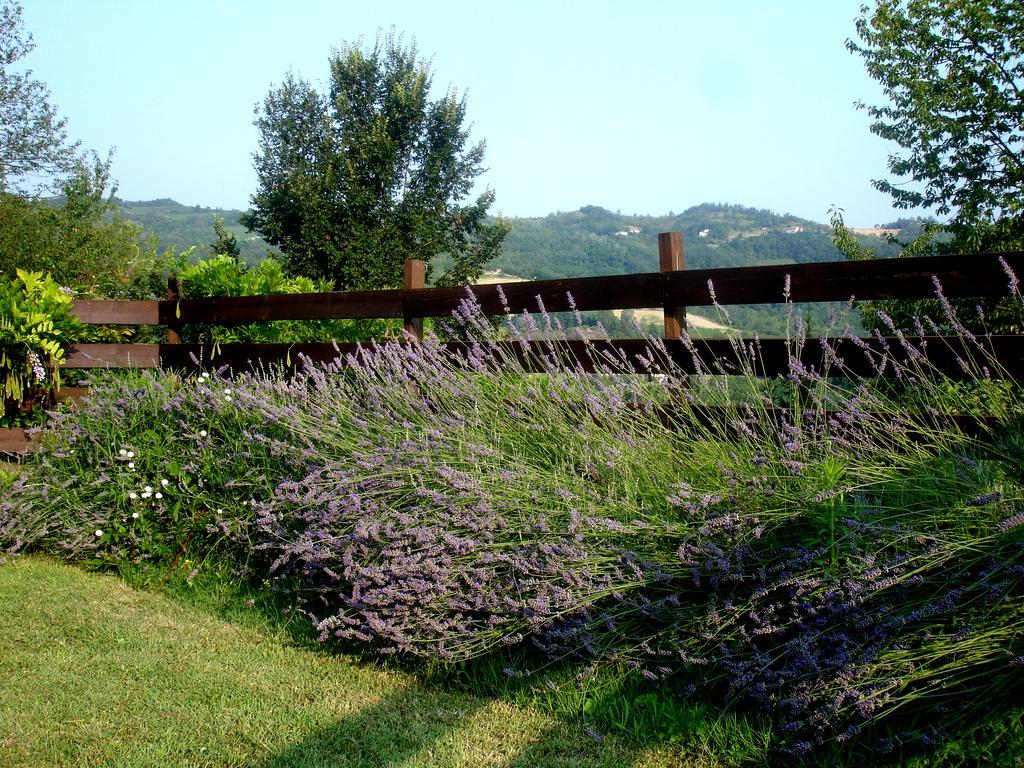 Cascina Ciosse B&B Grognardo Chambre photo