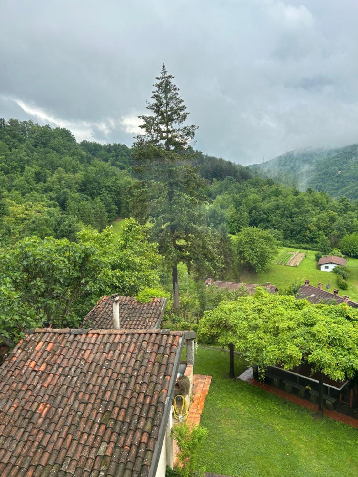 Cascina Ciosse B&B Grognardo Extérieur photo